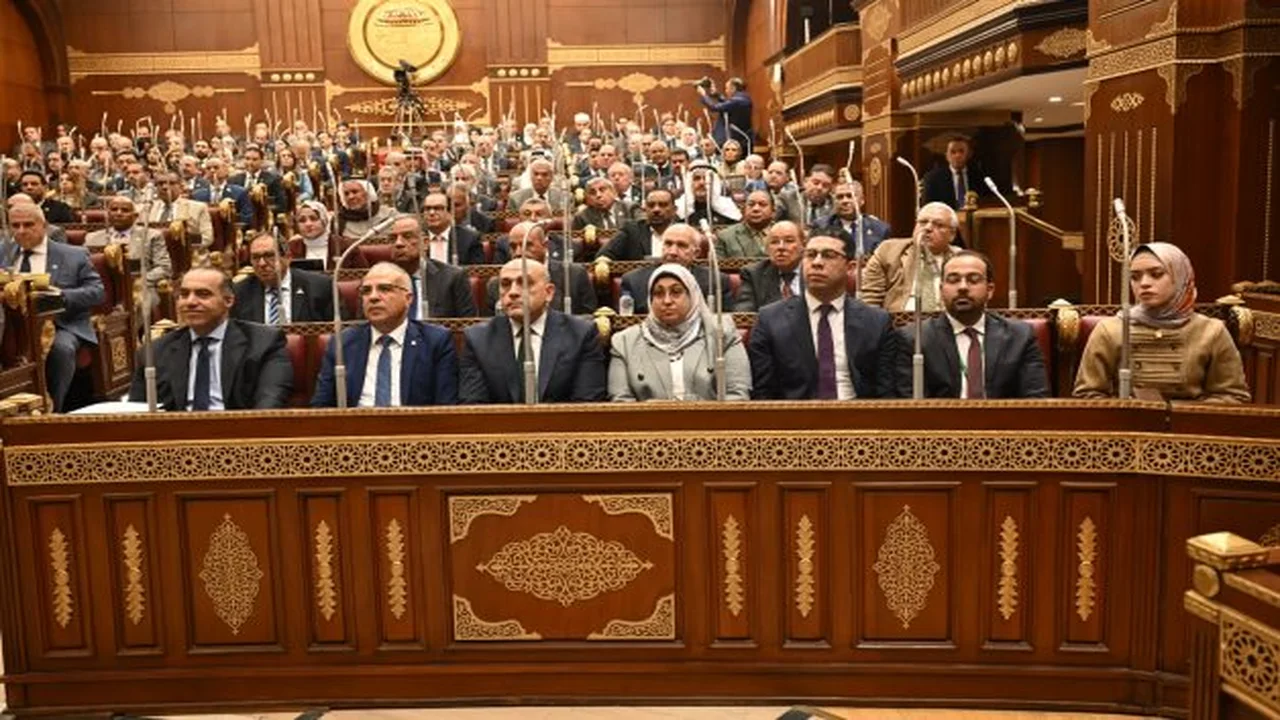 وزير الاستثمار بمجلس الشيوخ: مساهمة القطاع الخاص تقفز إلى ٦٦ بالمئة من الاستثمارات